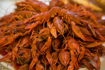 crayfish