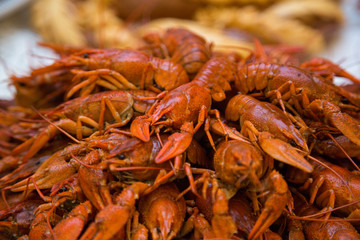 crayfish