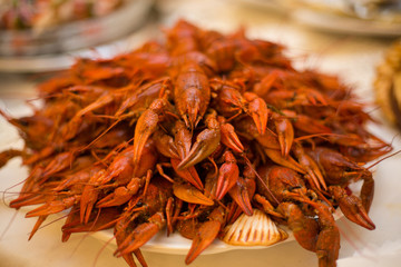 crayfish