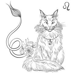 Zodiac. Vector illustration of the astrological sign of Leo as a sitting Maine coon cat. Line art template suitable for coloring book page. Print isolated on white background