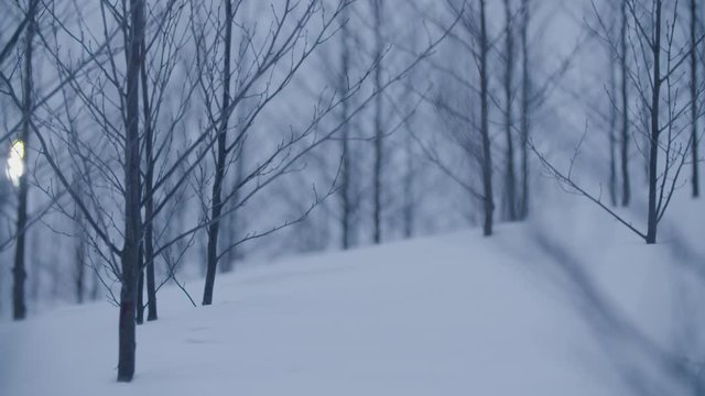 Snow-fall at Holmenkollen by night. Slow-motion in the forest. Cold atmosphere