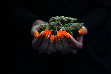 Weed buds held by woman's hands with orange acrylic nails with diamonds. Black background