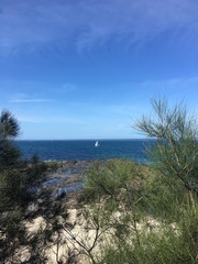 Obraz premium Lonely Sailor 