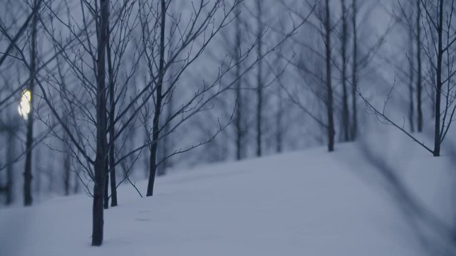 Snow-fall at Holmenkollen by night. Slow-motion in the forest. Cold atmosphere