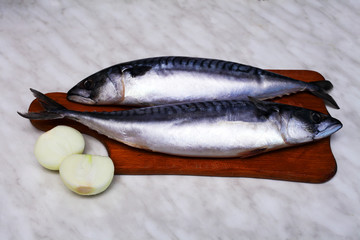 Mackerel on a cutting board on the kitchen table close-up
