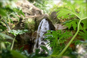 Hidden Waterfall