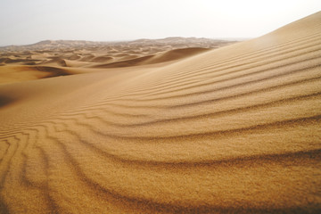 Landscape of sand dunes desert