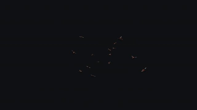 Swarm of honey bees in aggressive flying loop (V Long). Yellow, orange, brown, black body color. Naturalistic 3D animation isolated on transparent background. 