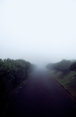 Asphalt in dense fog. Azores, Portugal.