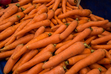 bunch of fresh carrots in a bazaar 