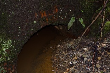 Tunnel Of A Small Stream