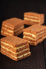 Sliced russian honey cake with cream cheese on rustic wooden background