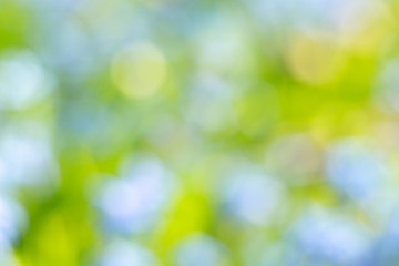Fototapeta premium Abstract blur spring background. Green blue and yellow blurred background