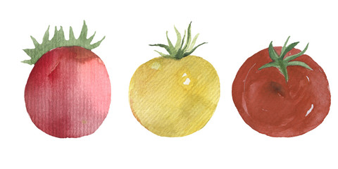 Set of fresh vegetables white paper white paper