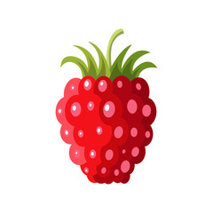 Sweet berry isolated on white background. Vector icons set. Illustration with raspberry.