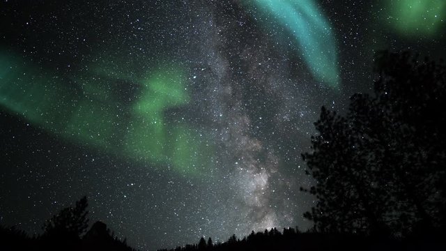 Aurora Borealis Alpine Forest Tilt Up Milky Way Galaxy Time Lapse Simulated Northern Lights
