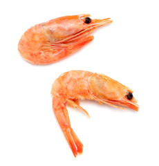 Red shrimp isolated on a white background