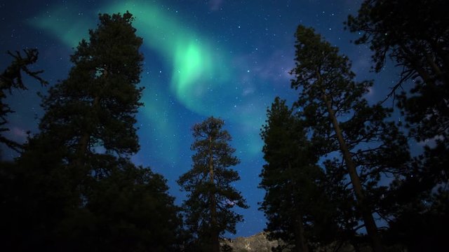 Aurora Borealis and Stars in Alpine Forest Time Lapse Simulated Northern Lights