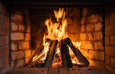 Firewood burning in a fireplace close-up