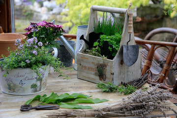 Verschiedene Gewürz Kräuter dekorativ, Still life 