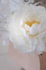 Stunning beauty blooming white-pink peony flower shot close.