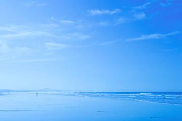 Long empty coastline of beautiful Essaouira beach. Morocco