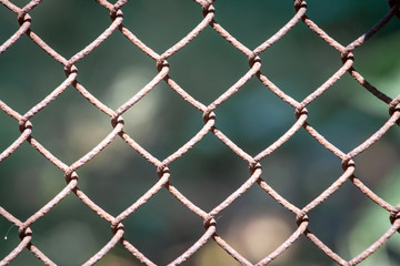 Fototapeta premium rabitz netting texture background. Fencing metal mesh fence.