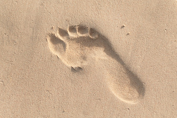 Human footprint is in wet sand on beach