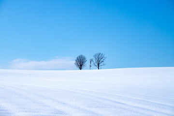 冬の美瑛　美しい北海道の風景