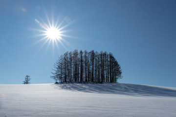 冬の美瑛　美しい北海道の風景