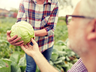 farming, gardening, agriculture, harvesting and people concept - senior couple picking cabbage at farm garden
