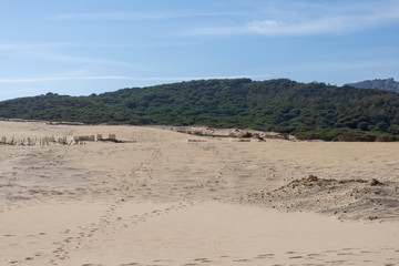 Tarifa beach on a beautiful sunny day. Spain.