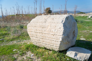 Massive Ancient Roman Column Fragment