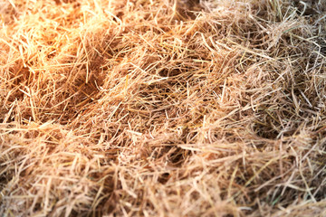 dry Straw from argriculture on floor with sun light