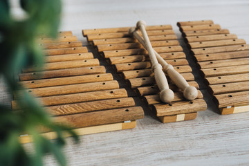 Xylophone is made of natural wood.