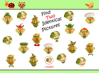 Cartoon  Illustration of Finding the Same Picture.  Educational Game for Preschool Children.
