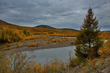 Fototapeta na wymiar Russia. Far East. The colours of autumn are cold-water rivers of Magadan.