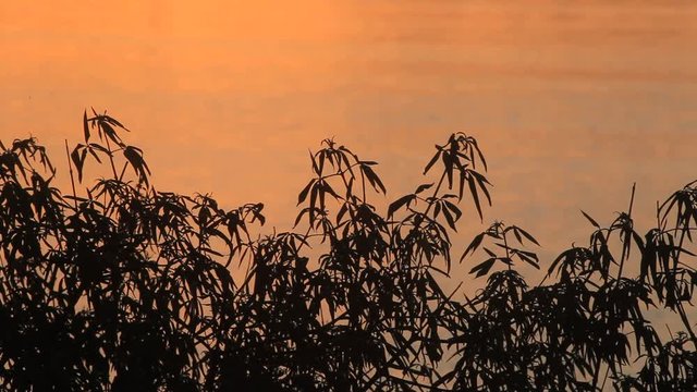 Sunset in Brijuni National Park, Croatia