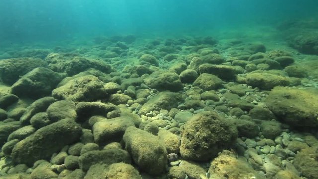 Rocky coast underwater  from Brijuni National Park