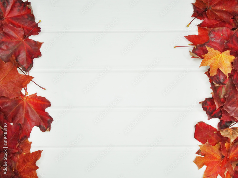 Canvas Prints autumn forest with maple trees on wooden background