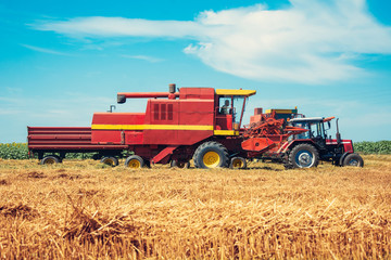 Fototapeta na wymiar Tractor and combine harvesting wheat