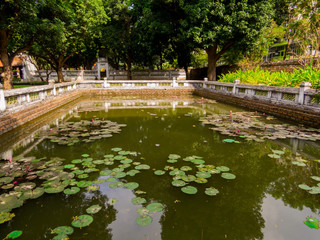 Fototapeta na wymiar Pond with water lilies in the Temple of Literature (Vietnamese: Van Mieu). In Hanoi, Vietnam