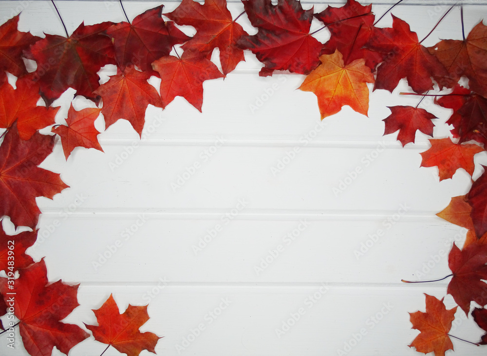 Canvas Prints autumn forest with maple trees on wooden background