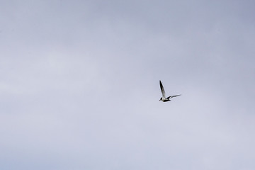 Färöer - Inseln im Nordatlantik