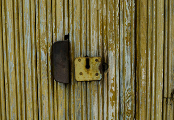Old wooden door. The structure of the old tree. Wooden boards and wall. Kraska is climbing from the...