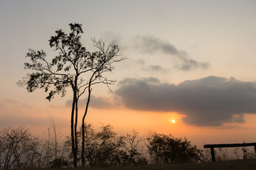 Fototapeta na wymiar Beautiful landscape image with trees silhouette at sunset