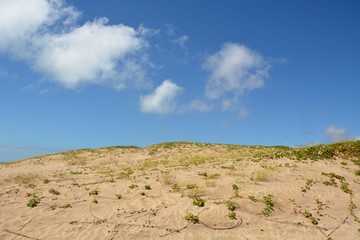 the brazilian beach Orla de Atalaia in the capital,Aracaju,Sergipe , Brazil
