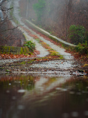 Autumn concrete road is strewn up with leaves and reflected in a puddle