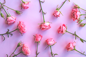 Floral pattern with roses flowers on pink background. Flat lay, top view. Flowers background