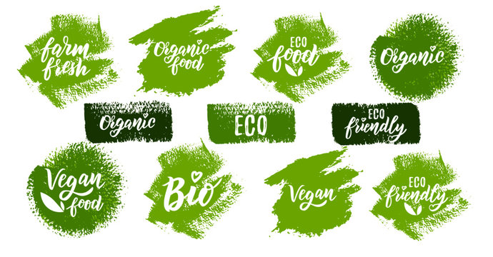 Organic food hand lettering text set for logo , stickers or label. Element for design menu restaurant or café. Typography vector illustration.